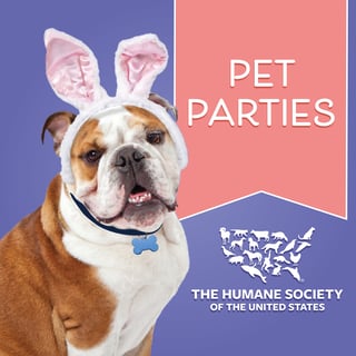 Pet Parties_Event Card